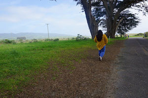 Meet your Posher, Dorothy